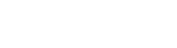 Sydney Commercial Bird Proofing